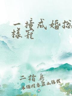 一撞成婚总裁花样宠