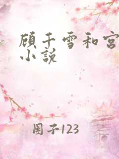 顾千雪和宫凌沨小说