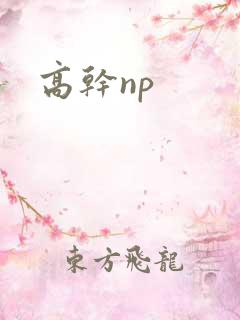 高干np