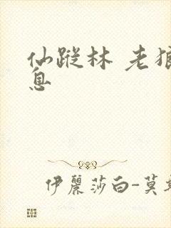 仙踪林 老狼信息