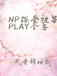 NP总受被各种PLAY全息