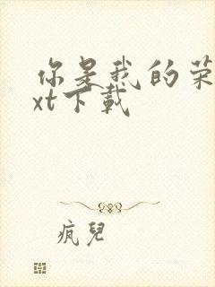 你是我的荣耀txt下载