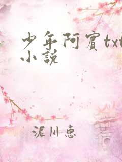 少年阿宾txt小说