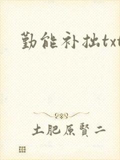 勤能补拙txt