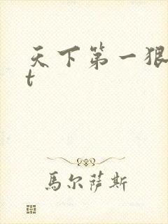 天下第一狠txt