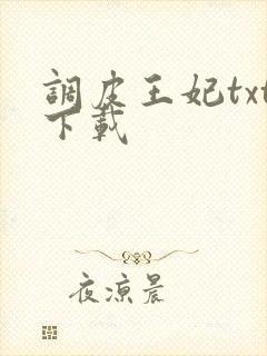 调皮王妃txt下载
