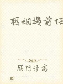 联姻遇前任小说