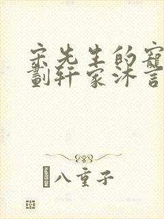 宋先生的宠妻计划轩家沐言