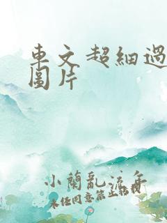 车文超细过程长图片