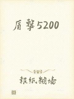 盾击5200