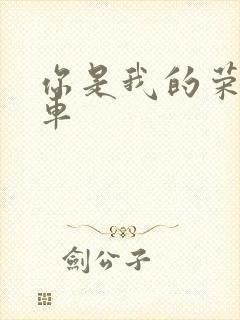 你是我的荣耀肉车