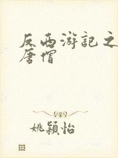 反西游记之混混唐僧