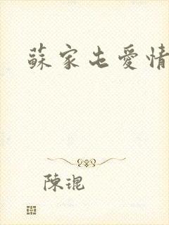 苏家屯爱情故事