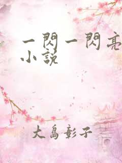 一闪一闪亮星星小说