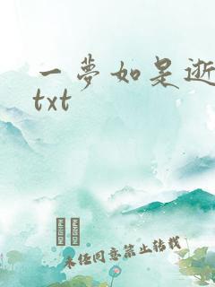 一梦如是逝水长txt