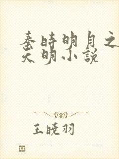 秦时明月之夜尽天明小说