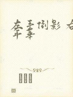 左手倒影 右手年华