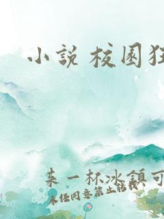 小说 校园狂少