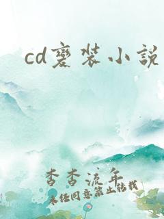 cd变装小说