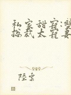 私家甜宠:双面总裁太宠妻