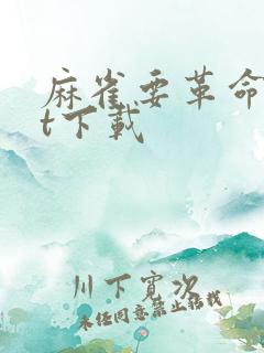 麻雀要革命txt下载