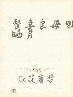 贤妻良母 鹦鹉晒月