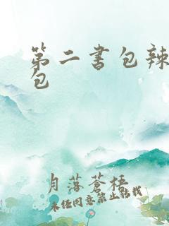 第二书包辣荷花包