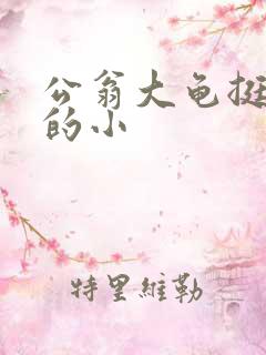 公翁大龟挺进我的小