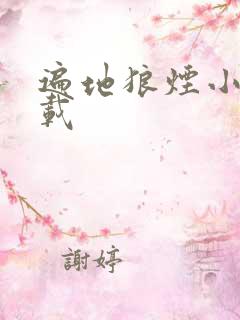 遍地狼烟小说下载