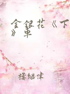 金银花《下厨房》车