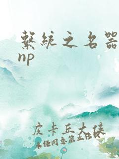 系统之名器攻略np