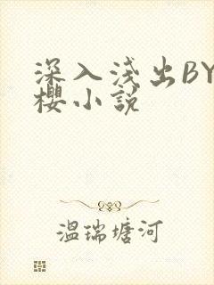 深入浅出BY胖樱小说