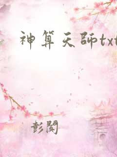 神算天师txt