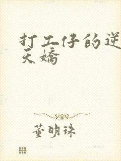 打工仔的逆袭楚天娇