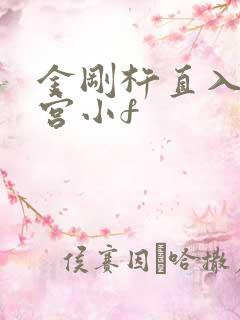 金刚杵直入莲花宫小f