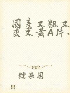 国产又粗又猛又爽又黄A片小说