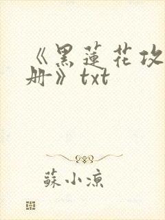 《黑莲花攻略手册》txt