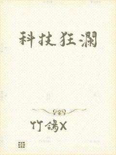 科技狂澜