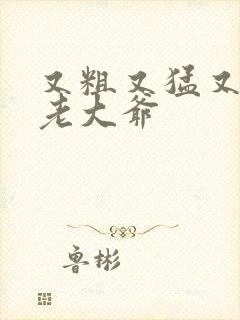 又粗又猛又大爽老大爷