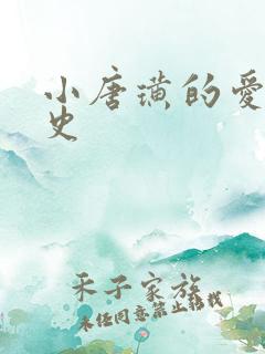 小唐璜的爱情历史