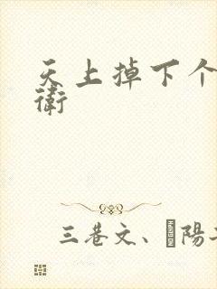 天上掉下个影卫卫