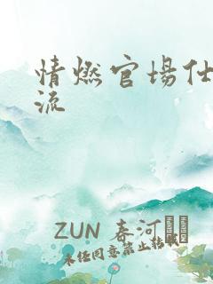 情燃官场仕途风流