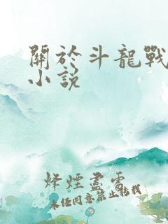 关于斗龙战士的小说