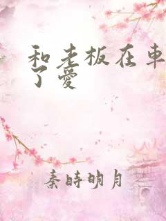 和老板在车里做了爱