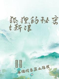 狐狸的秘密txt新浪