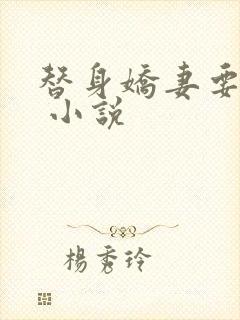 替身娇妻要离婚 小说