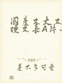 国产又大又粗又硬又长A片小说