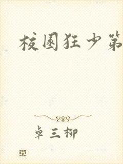 校园狂少第二部