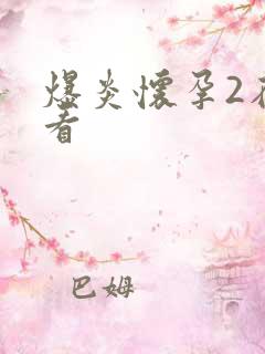 爆炎怀孕2在线看