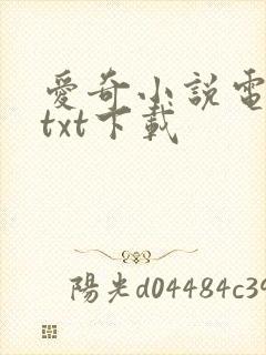 爱奇小说电子书txt下载